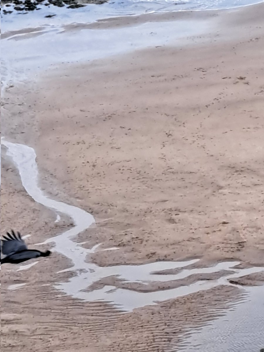 Christopher Corner tweet media