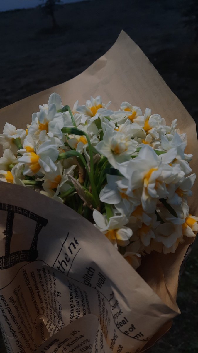 sen gel benim ekim çiçeğim ol