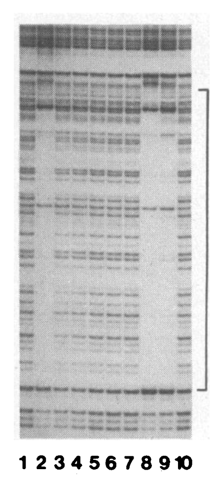 tom1eland's tweet photo. I know ChIP-seq is useful and all, but DNase footprinting must have been so much more satisfying https://t.co/LBWurOwS6x