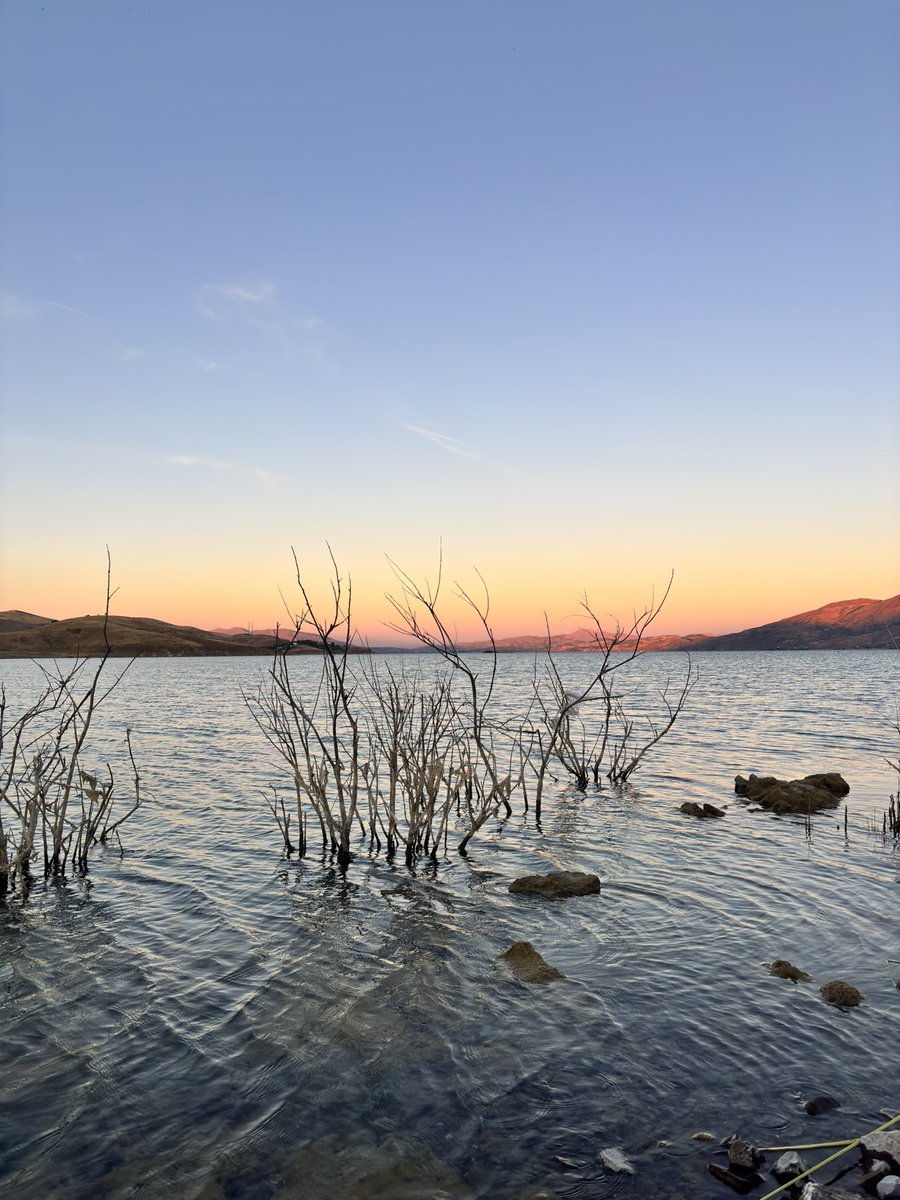 bu günün renkleri .