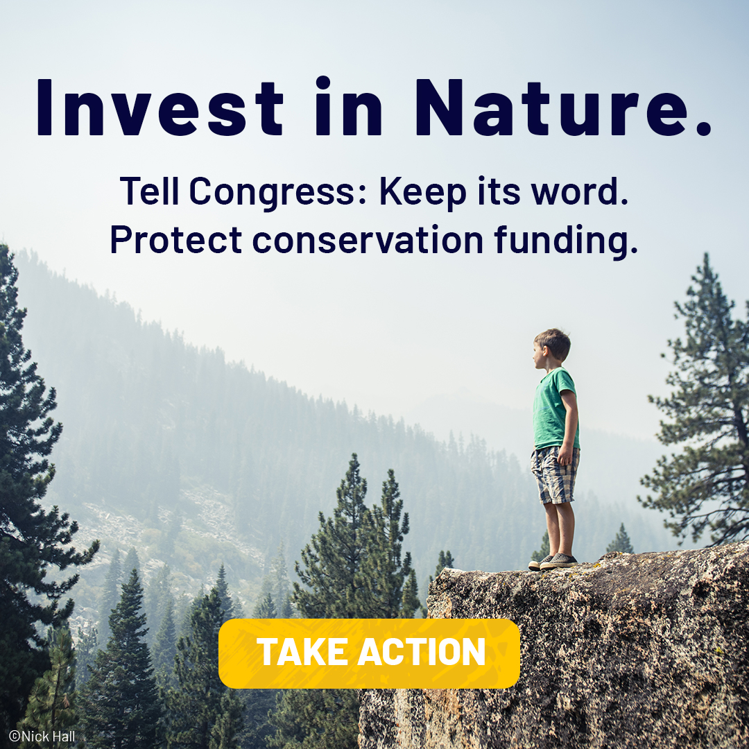 For 60 years, the Land &amp; Water Conservation Fund has protected parks, forests and wildlife habitat… All without costing taxpayers anything. 

But now a new federal order will limit LWCF funding and create roadblocks for vital projects. 

Take action to urge Congress to defend