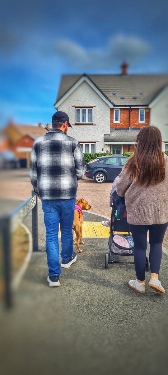 TheBossnME's tweet image. Crackin&apos; day out with my eldest daughter, the mini muffin who&apos;s starting to talk already, dad, doggo, and the newbie 🐈‍⬛

#familyfuntime