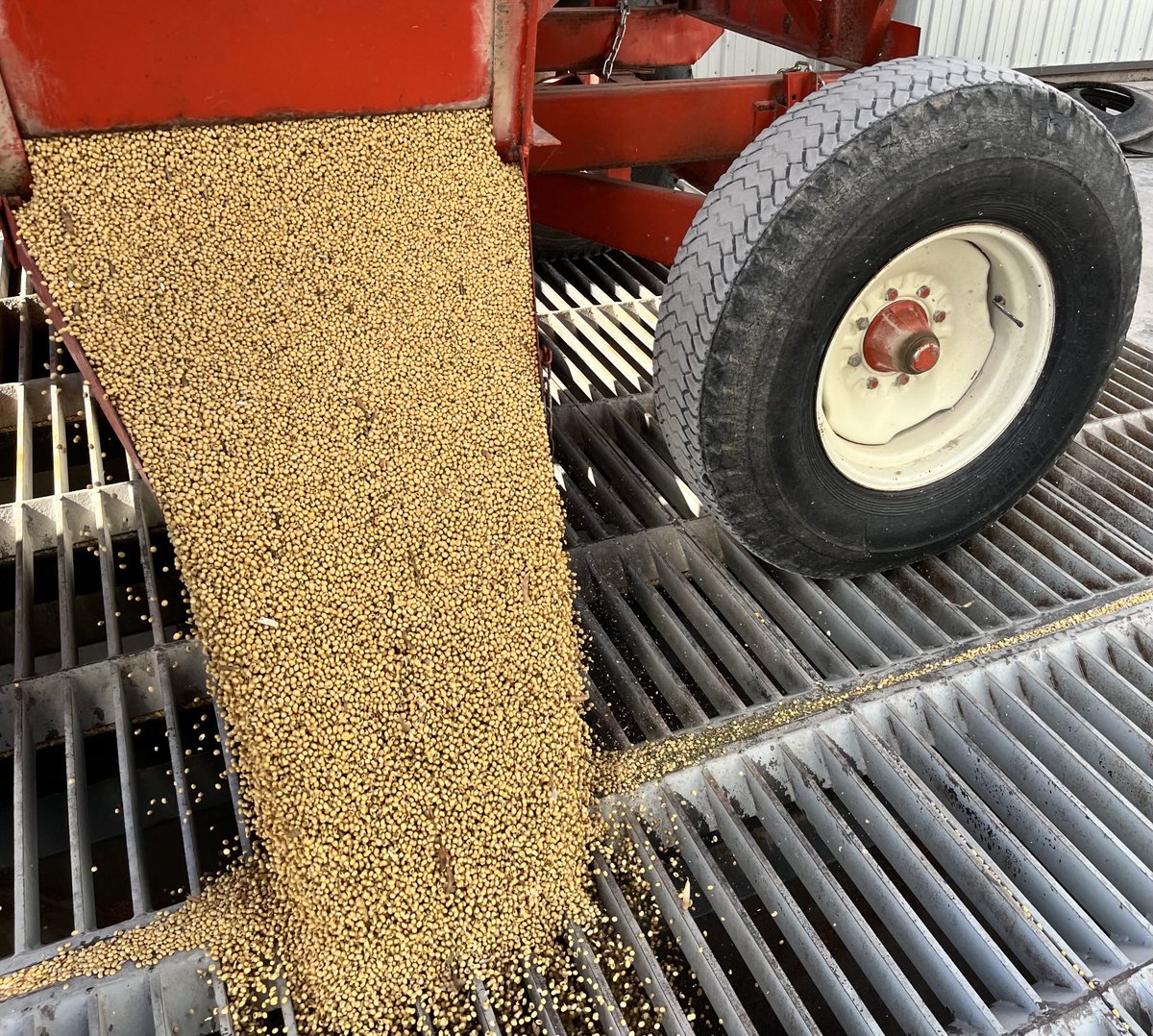 V.D.B. Grains Ltd tweet media