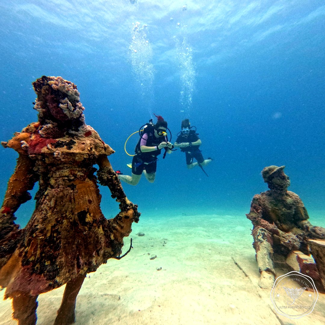 Ultramarinedive's tweet photo. 🧭✨ Compass Challenge!
Would YOU find the right direction underwater? 🌊
👉 Tap to answer:
✅ YES
❌ NO

📍 Bayahibe | Punta Cana – Dominican Republic
#PADI #AOWD #ScubaLife #UltraMarineDivers https://t.co/kHPKeQfh11