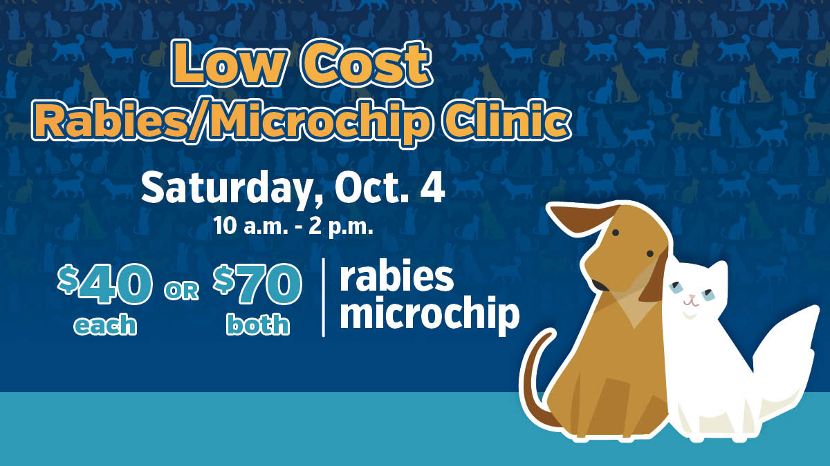 The Burlington Animal Shelter (2424 Industrial St.) is hosting a Microchip and Rabies Clinic on Oct. 4 from 10 a.m. to 2 p.m.

Please call 905-335-7777 to book an appointment. The cost is $40 individually or $70 for both.