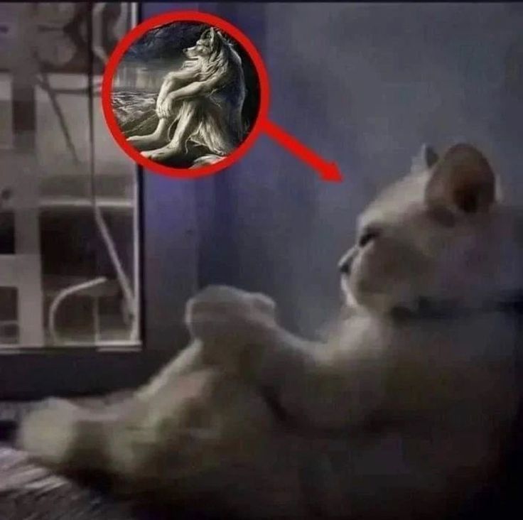 itscodoki's tweet image. Slk mal cheguei e ainda tenho que trabalhar por 40 anos