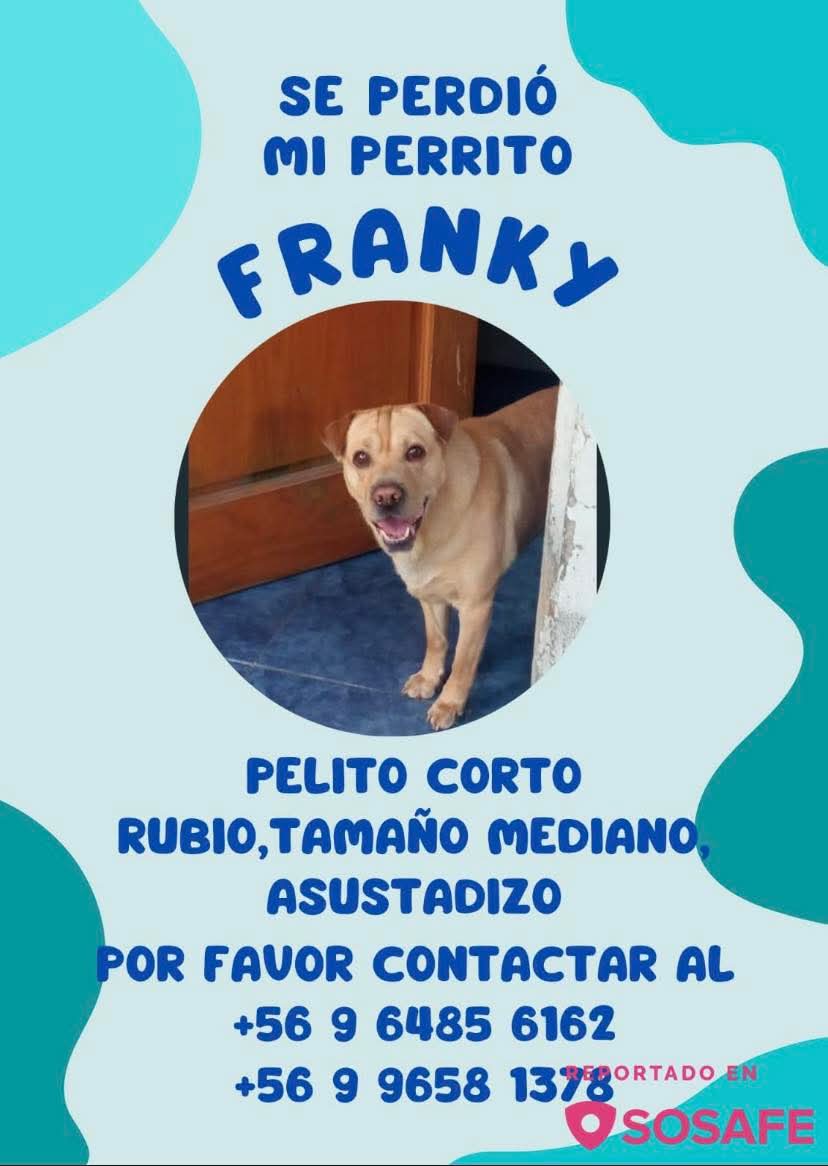 Perdido en cerro navia San Francisco con las torres