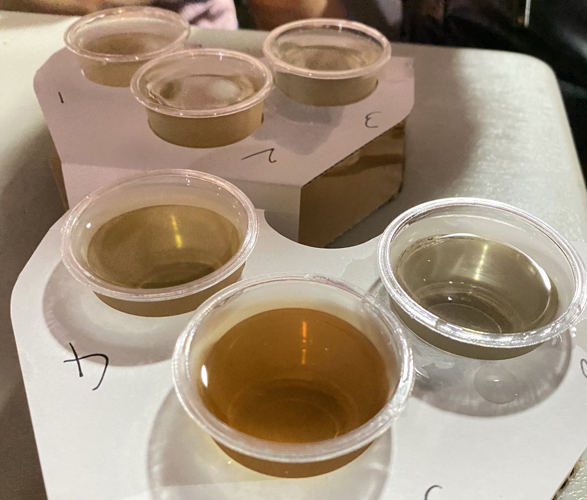 金井酒造さんのところで「飲み比べぜんぶ！」って言ってきた
¥1000/3杯
気候がちょうど良くて最高だね✌️

#たばこ祭　#金井酒造