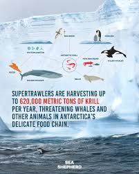 Humans are a terminating species 
The only parts of Earth where nature still flourishes is where humans do not have access 
Once they gain access they do not stop until they destroy everything 
This is just beginning in Antarctica 
taking food from the mouths of Penguins whales
