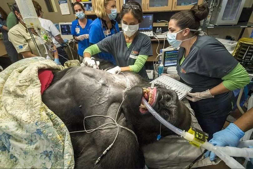 If this m.f.ker wakes up, it’s over