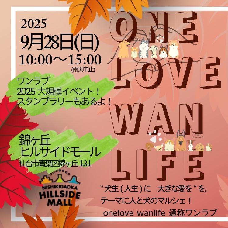 glassy_2022's tweet photo. 本日はわんちゃんのイベント出店です
ペット飼ってない方もご利用いただけます🐼
 #錦ケ丘ヒルサイドモール https://t.co/Xujhg1W7cX