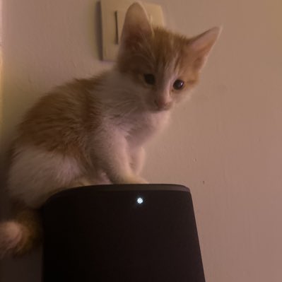 🌧️🌧️ tweet media