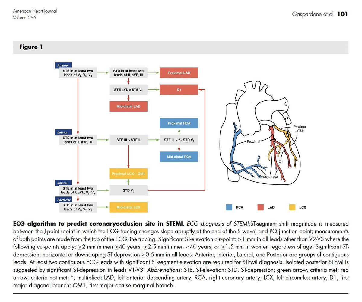 ♒️𝗘𝗖𝗚 𝗲𝗻 𝗦𝗧𝗘𝗠𝗜: 𝗹𝗼𝗰𝗮𝗹𝗶𝘇𝗮𝗰𝗶𝗼́𝗻 𝗱𝗲 𝗹𝗮 𝗼𝗰𝗹𝘂𝘀𝗶𝗼́𝗻 𝗰𝗼𝗿𝗼𝗻𝗮𝗿𝗶𝗮🫀
⬇️⬇️⬇️⬇️ 

🔹 𝘼𝙣𝙩𝙚𝙧𝙞𝙤𝙧 (𝙑1-𝙑4):
•STE en V1-V4.
•STE aVL ≥ STE V1 → 𝙥𝙧𝙤𝙭𝙞𝙢𝙖𝙡 𝙇𝘼𝘿.
•STD II, III, aVF → 𝙥𝙧𝙤𝙭𝙞𝙢𝙖𝙡 𝙇𝘼𝘿.
•Si no: