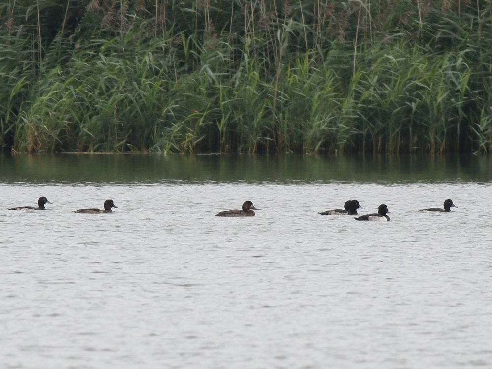 Alan_HP_Notts tweet media