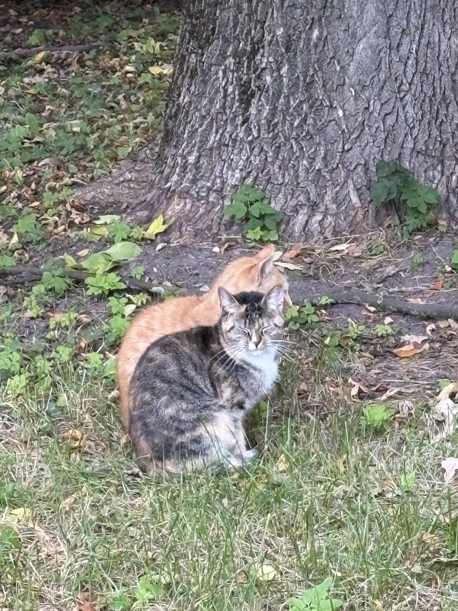 Мне кажется, между ними что-то есть