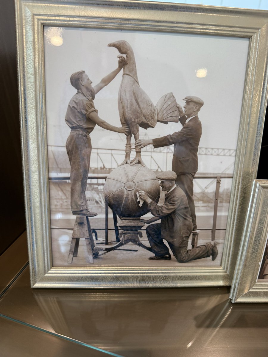 Brooklyn tweet media