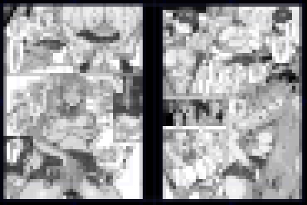 描き込みすぎな気もするし まだ足りない気もする… 