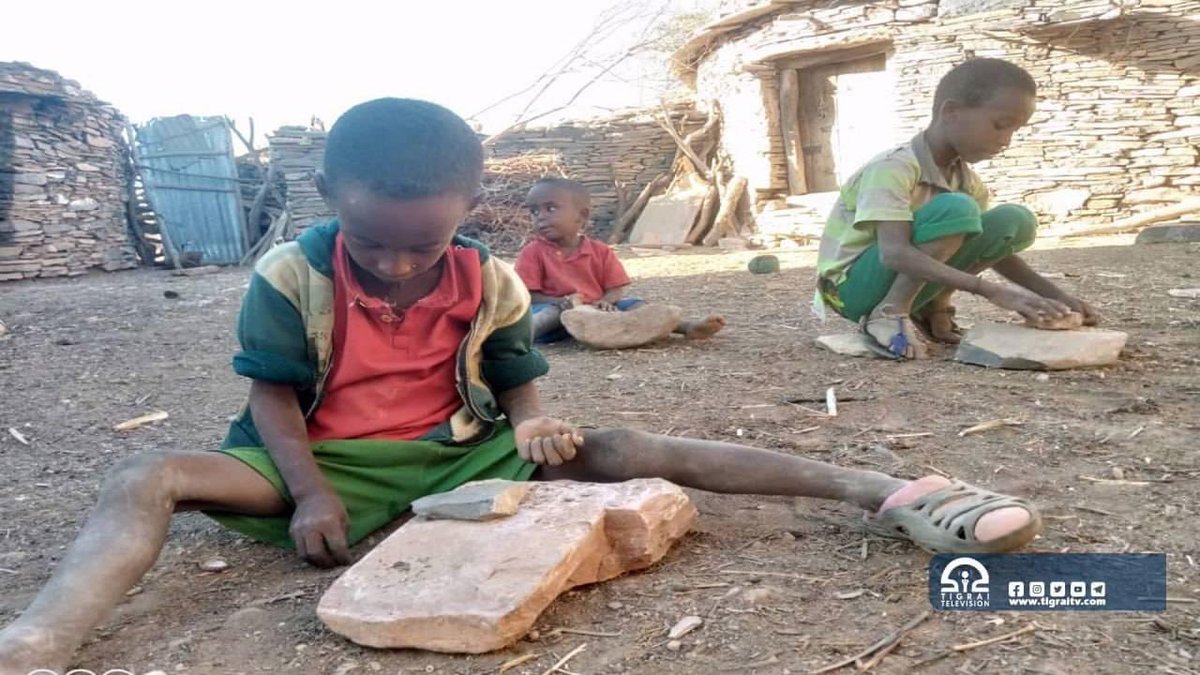 Day 1790 of the #TigrayGenocide:

The conflict has cost #Tigray nearly 30% of its teachers—about 14,000. Those remaining face heavy psychological strain &amp; financial hardship; the teaching environment is deeply compromised.

#TigrayIsSuffering 

#TigrayCantWait