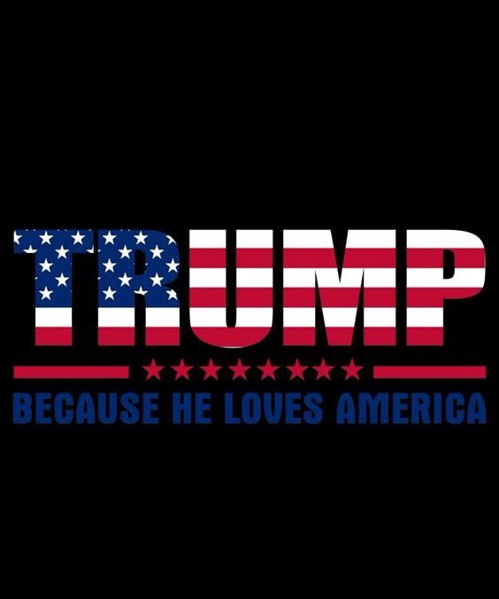 BaronJTrump's tweet image. He loves USA