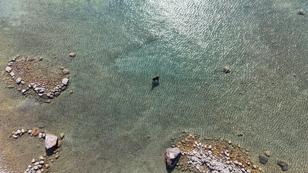 RayDickson's tweet image. Out exploring 📷 Tiny, Ontario today and stopped by Concession 18 Beach 📷. Came across this big guy 📷📷 enjoying the day too! 📷📷
If you lived at this house, you could walk here within a few minutes.
ontarioonerealty.com/ON/tiny/l9m0j1…