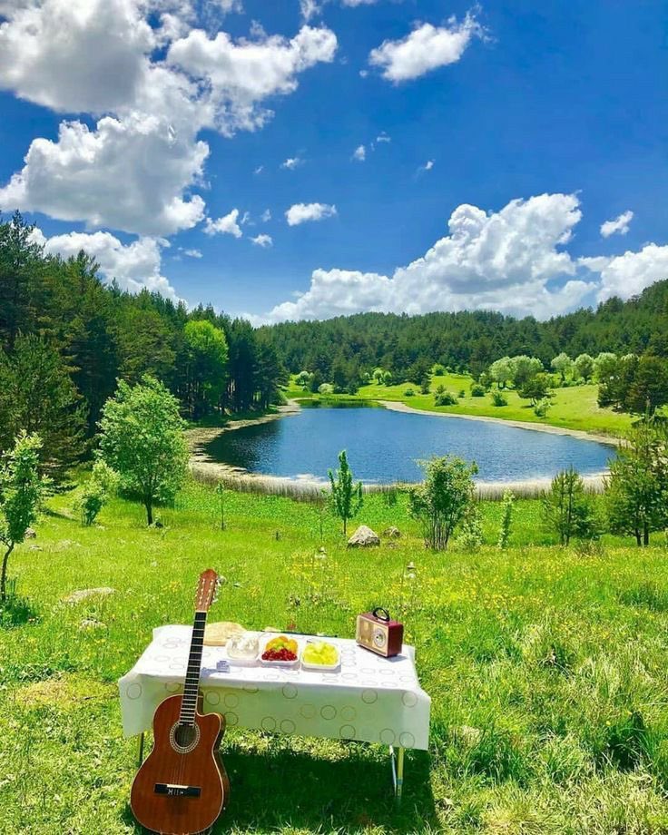 greendreamvibes's tweet image. 🌿