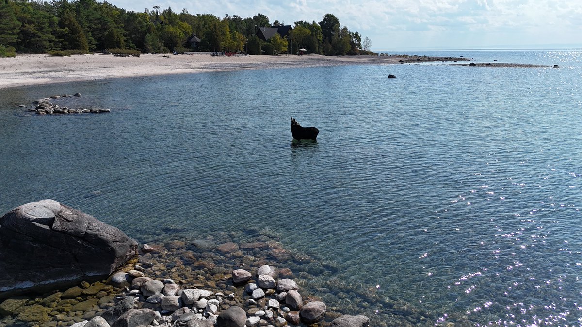 RayDickson's tweet image. Out exploring 📷 Tiny, Ontario today and stopped by Concession 18 Beach 📷. Came across this big guy 📷📷 enjoying the day too! 📷📷
If you lived at this house, you could walk here within a few minutes.
ontarioonerealty.com/ON/tiny/l9m0j1…