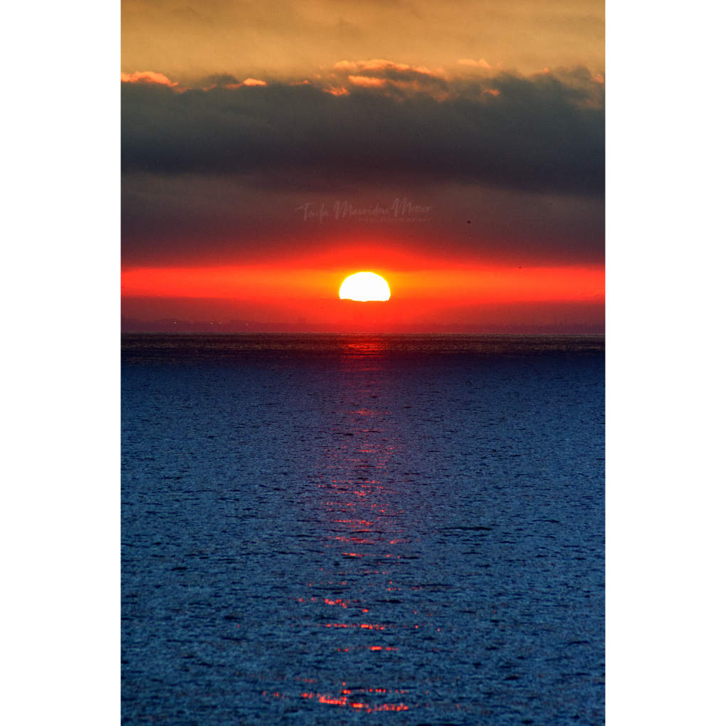 A_ZofWonderment's tweet photo. Happy #SaturdaySunset, everyone! I hope you have all had a wondrous day! Sweet dreams. 🙏😴🦋 https://t.co/VXHVO5qdg6