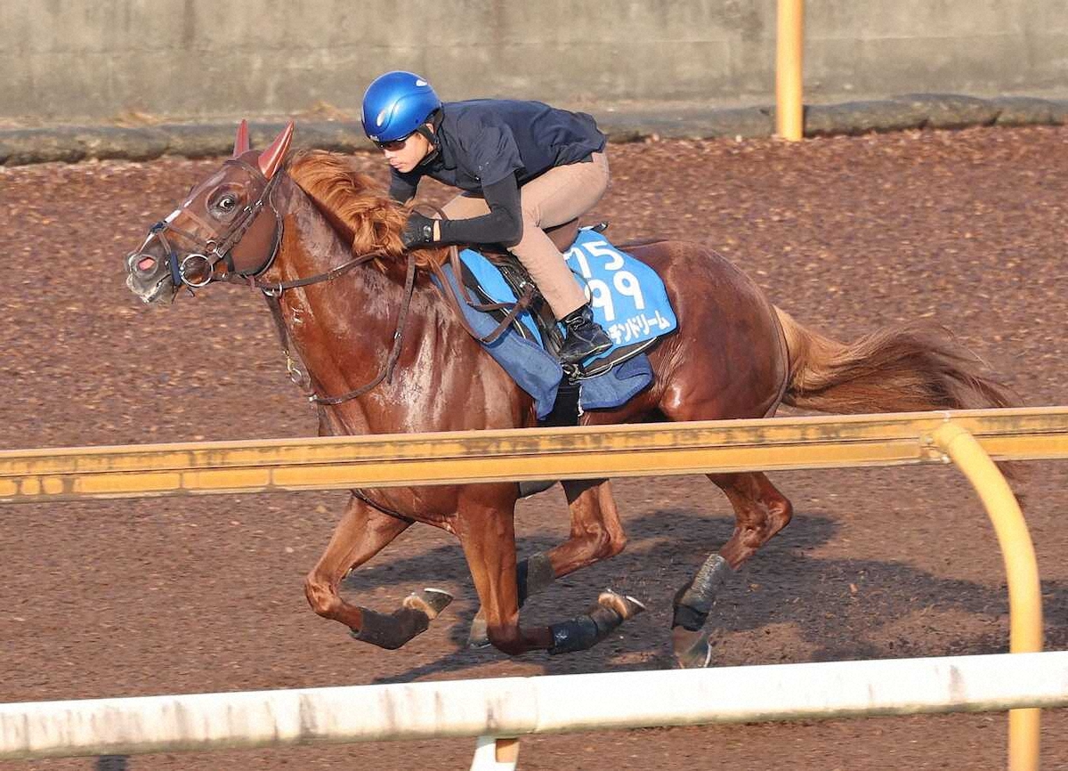 Queen徹底活用マニュアル 万馬券製造機Queen Special 〈競馬予… 競馬の天才！ 2023年1月号 (発売日2022年12月13日) | 雑誌/定期