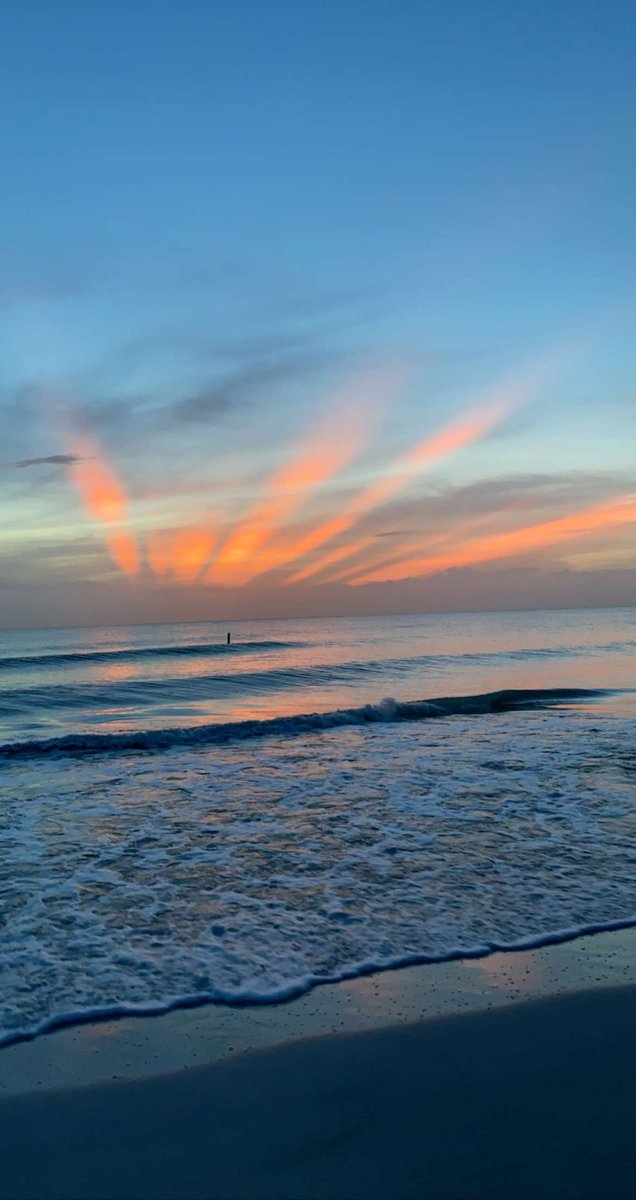 shane_dimora's tweet image. another day in paradise