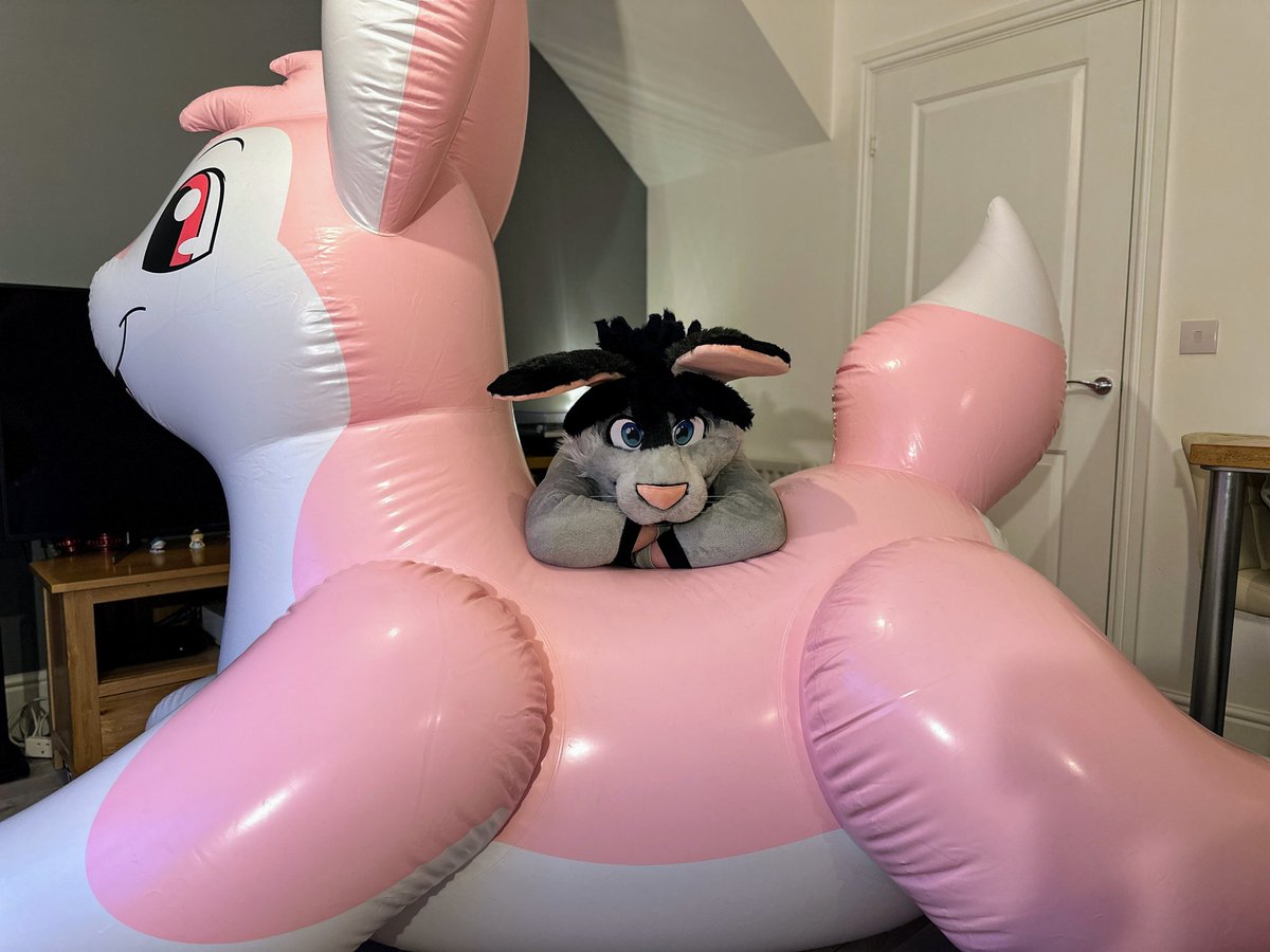 Pitch_Shift's tweet image. Have a pair of bunnies for #InternationalRabbitDay and #SqueakySaturday