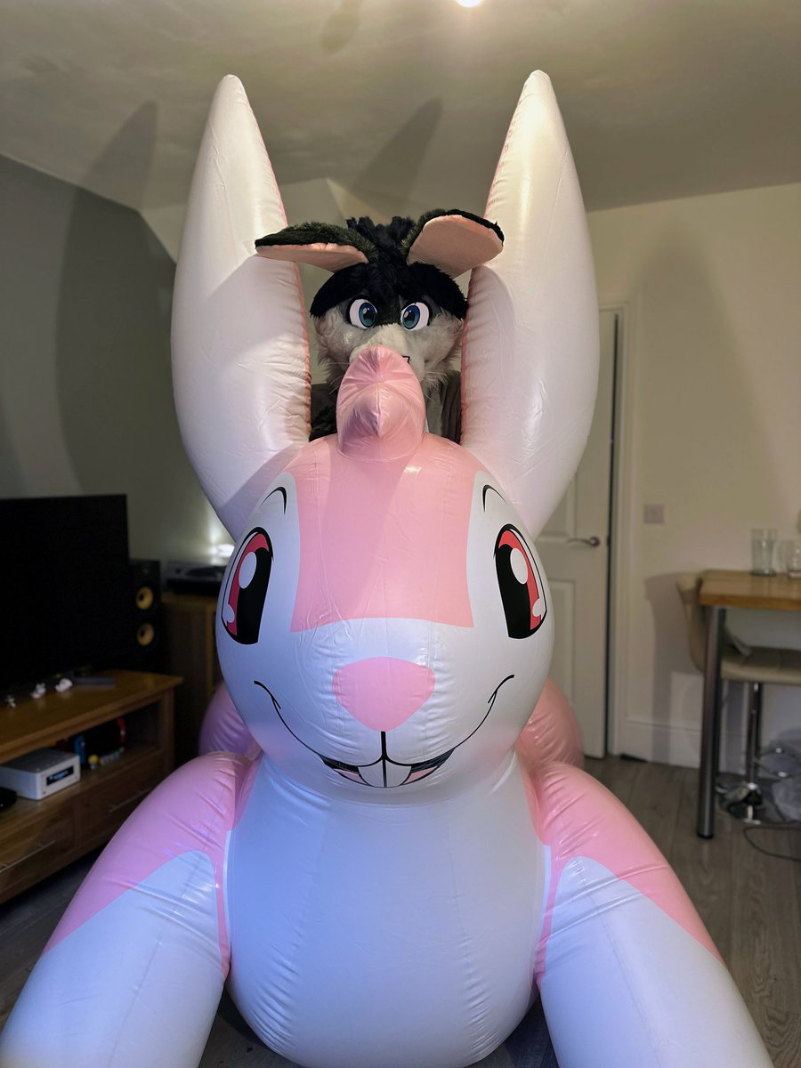 Pitch_Shift's tweet image. Have a pair of bunnies for #InternationalRabbitDay and #SqueakySaturday