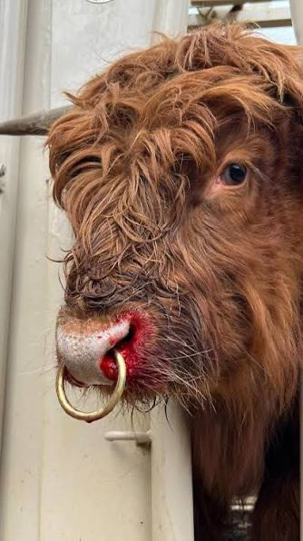 dZ Erupt tweet media