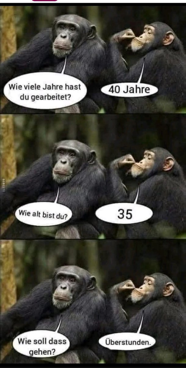 Mihokitzune Ceo of flauschigkeit (@mihokitzune) on Twitter photo 