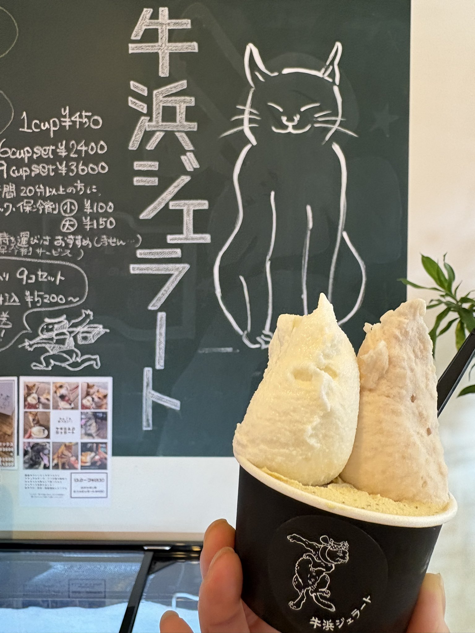 つるりん Amazon｜ホワイトローズ クッキングシート「つるりん」 ノーマル