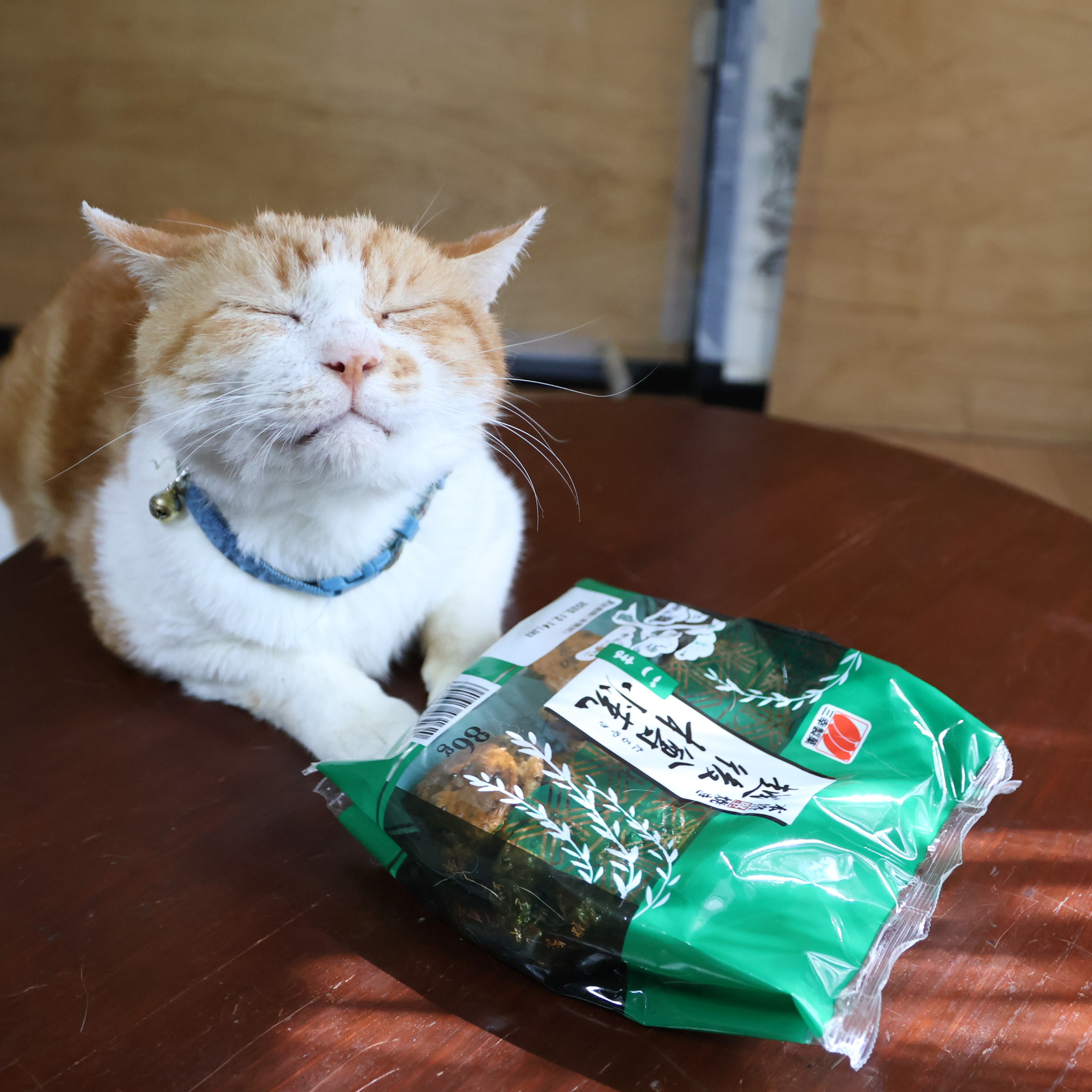 かご猫 blog (@shironeko_1) / X