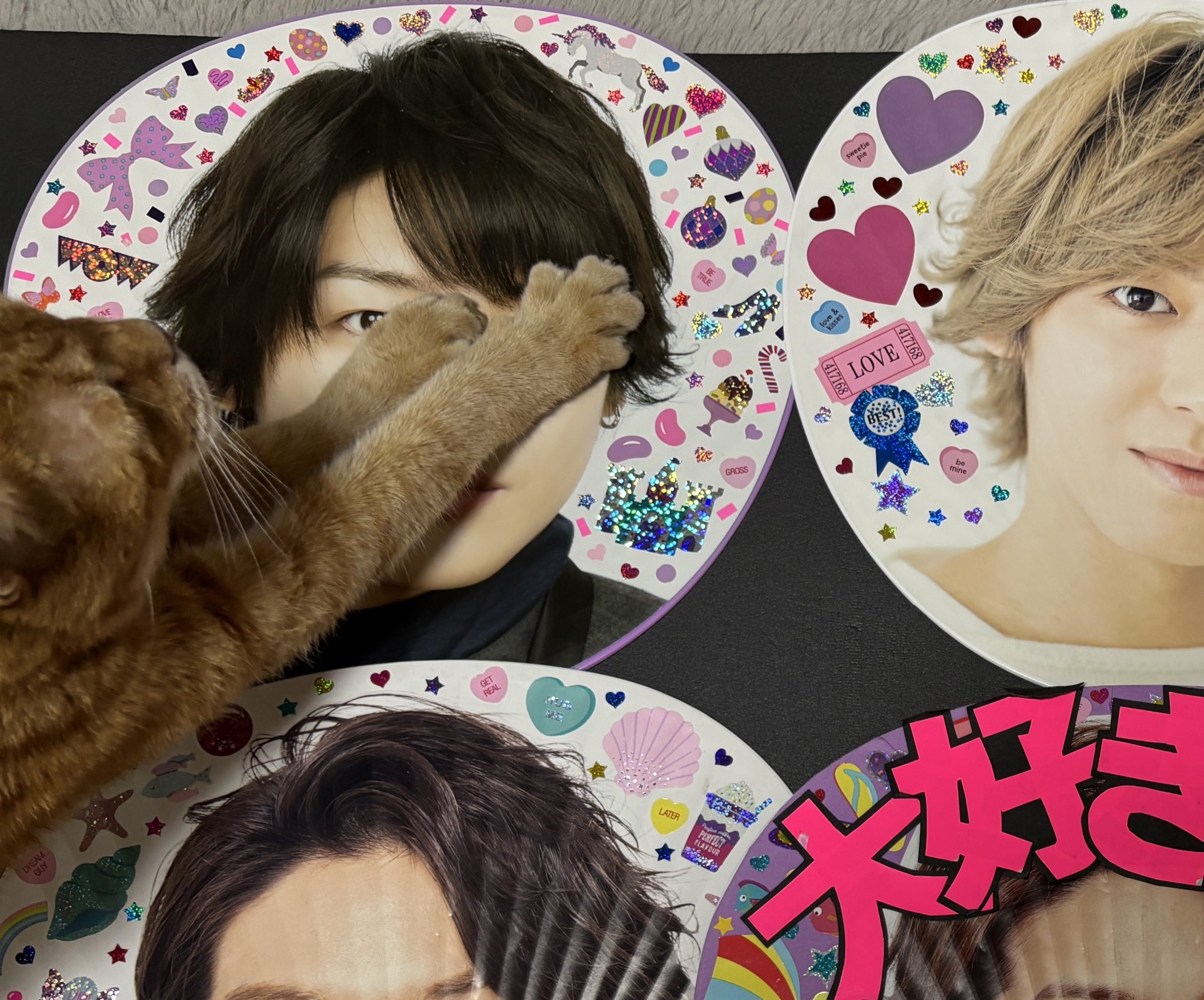 煌めき様♡ありがとうございます♡ ぽめちゃん on X: 
