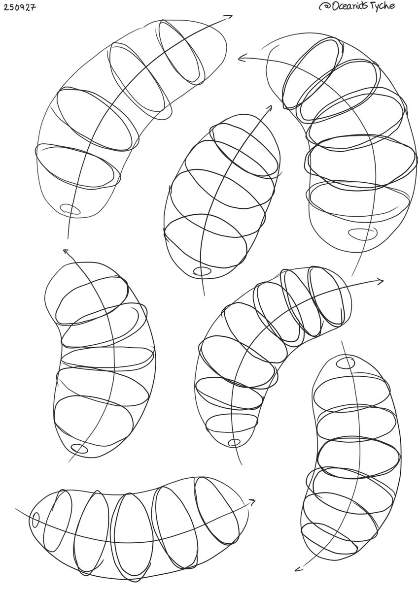 oceanidstyche's tweet image. Beans practice #organicforms #artstudy