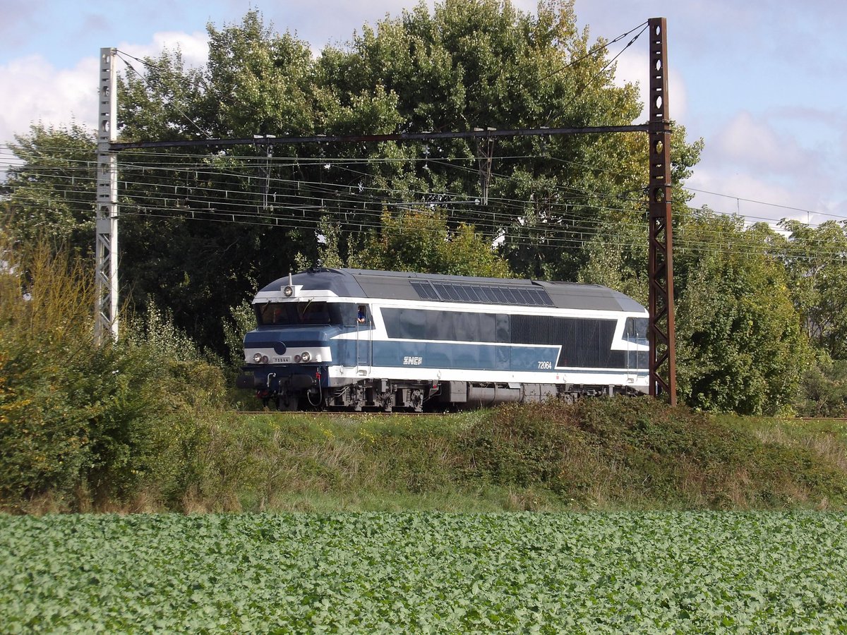 Le Touriste tweet media