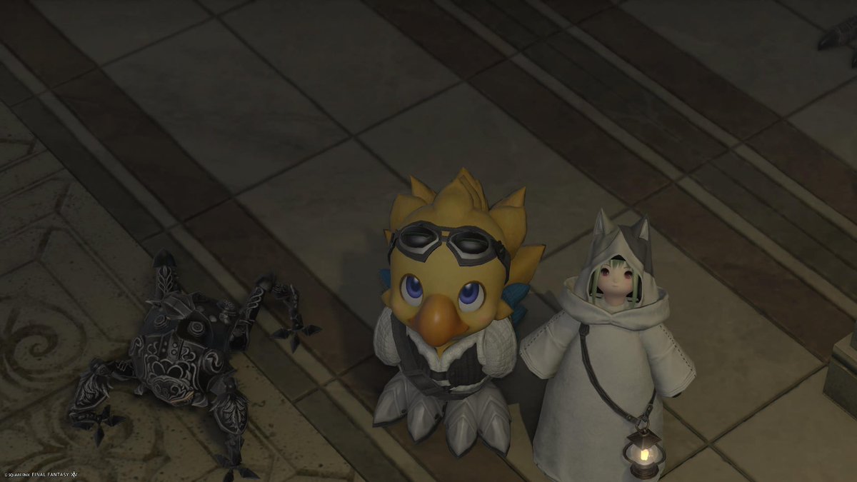 おはようございます
昨日は手持ち地図消化と
FCの皆さんの地図を借りて
G18巡ってたんですけど
私の宝箱はドロップ品すらなく…(._.)
掘ってからだいぶ経ってたからかな…
クロムギさんから松明貰いましたﾜｰｲ

アルファ達の出現、多分出会ったの
（イベントとかは別として）今回が初かも
#おはララ