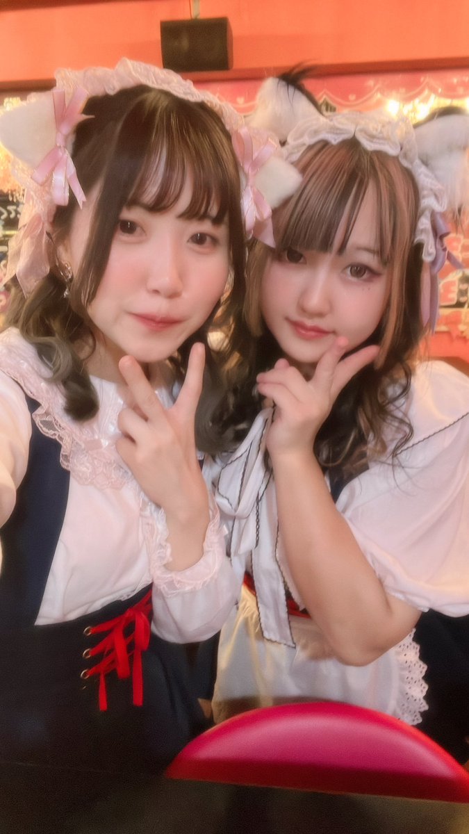 みみみ@みけねこカフェ秋葉原 tweet media
