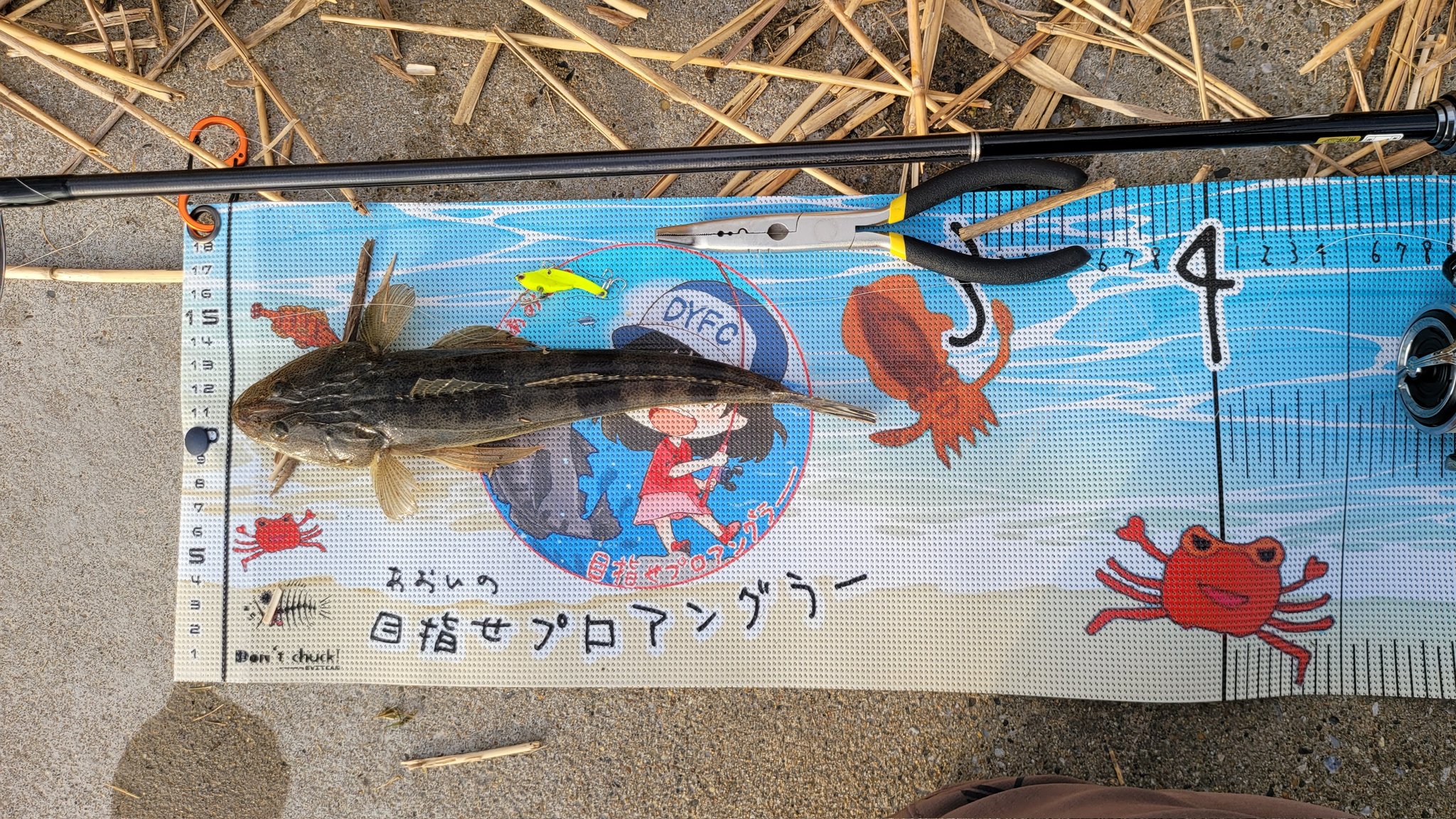 みきゃん SHIMA-ZX200 (@ShimaZx200) / X