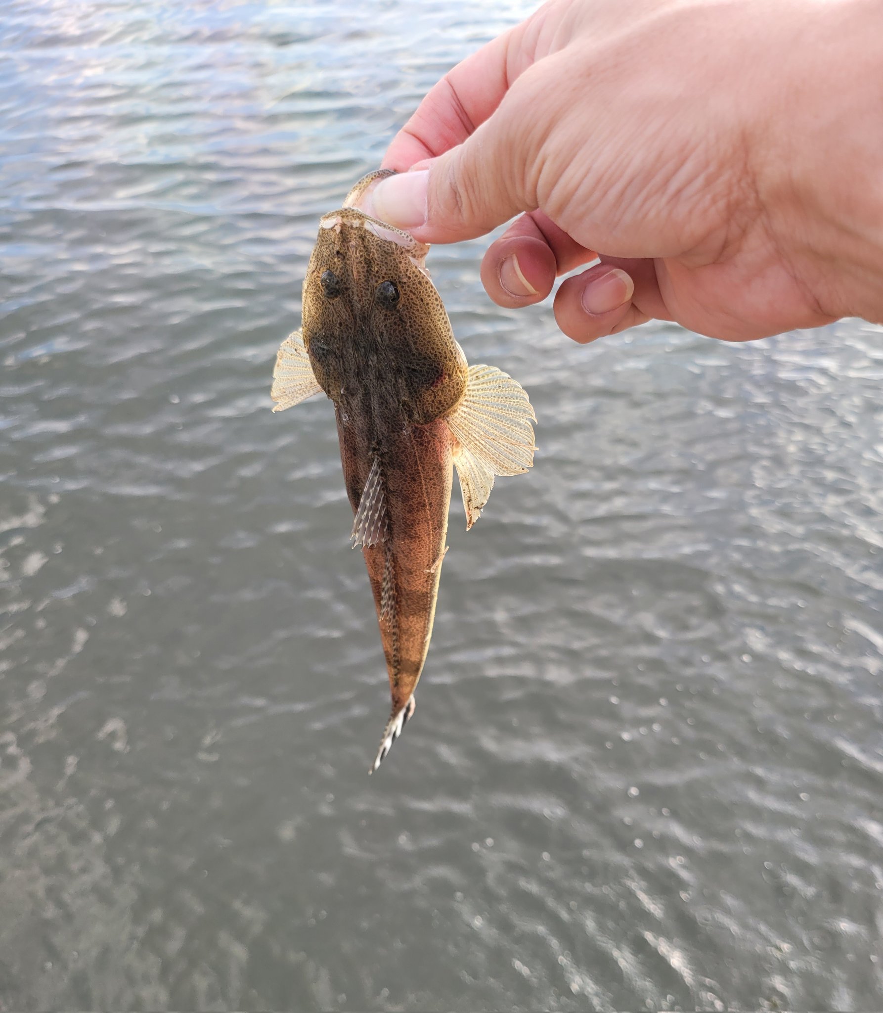 SHIMA-ZX200 (@ShimaZx200) / X