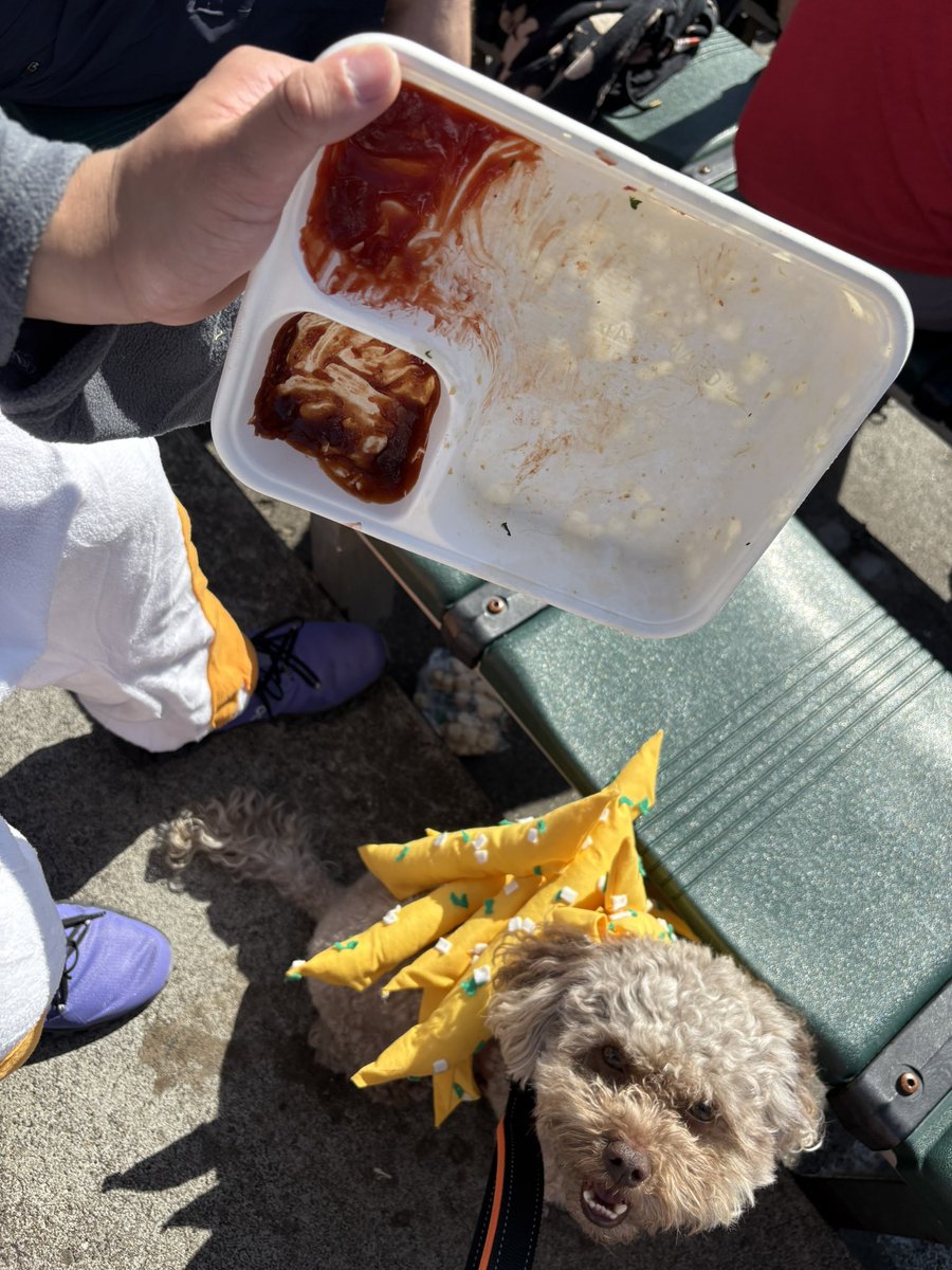 Oh no! I dropped my garlic fries and chicken tender! #sfgiants