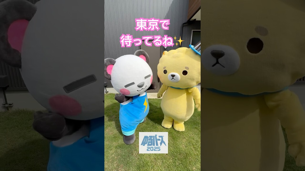 さかいさんだー🐼 (@Sakai_Thunder) / X