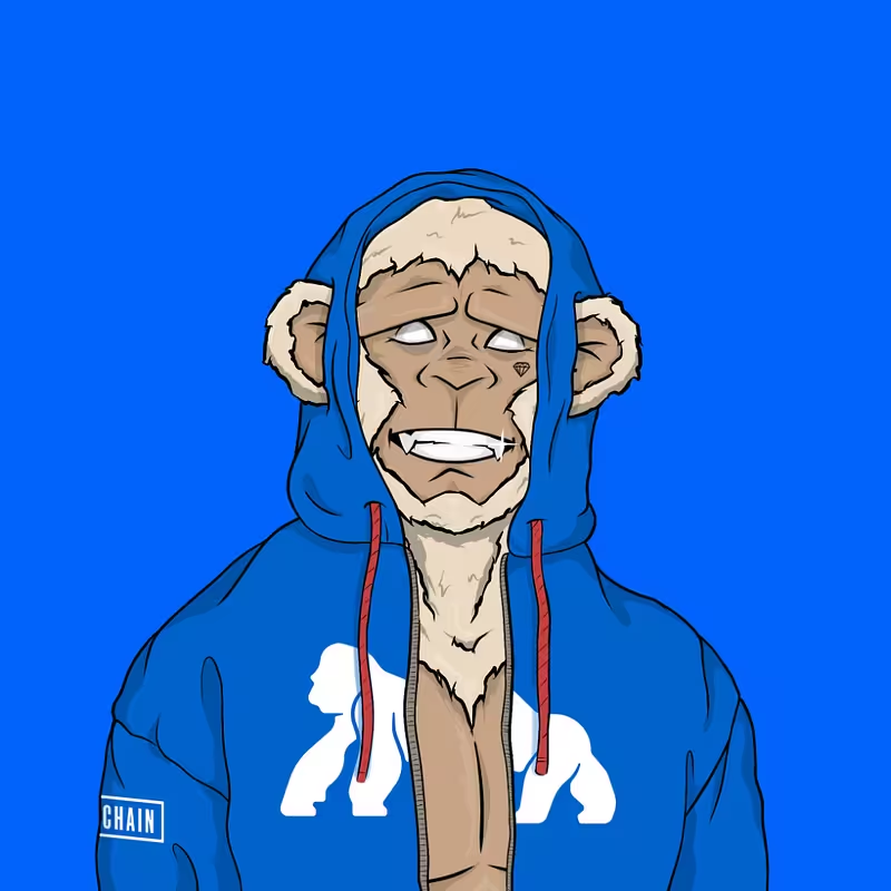 ApeChainHUB tweet media