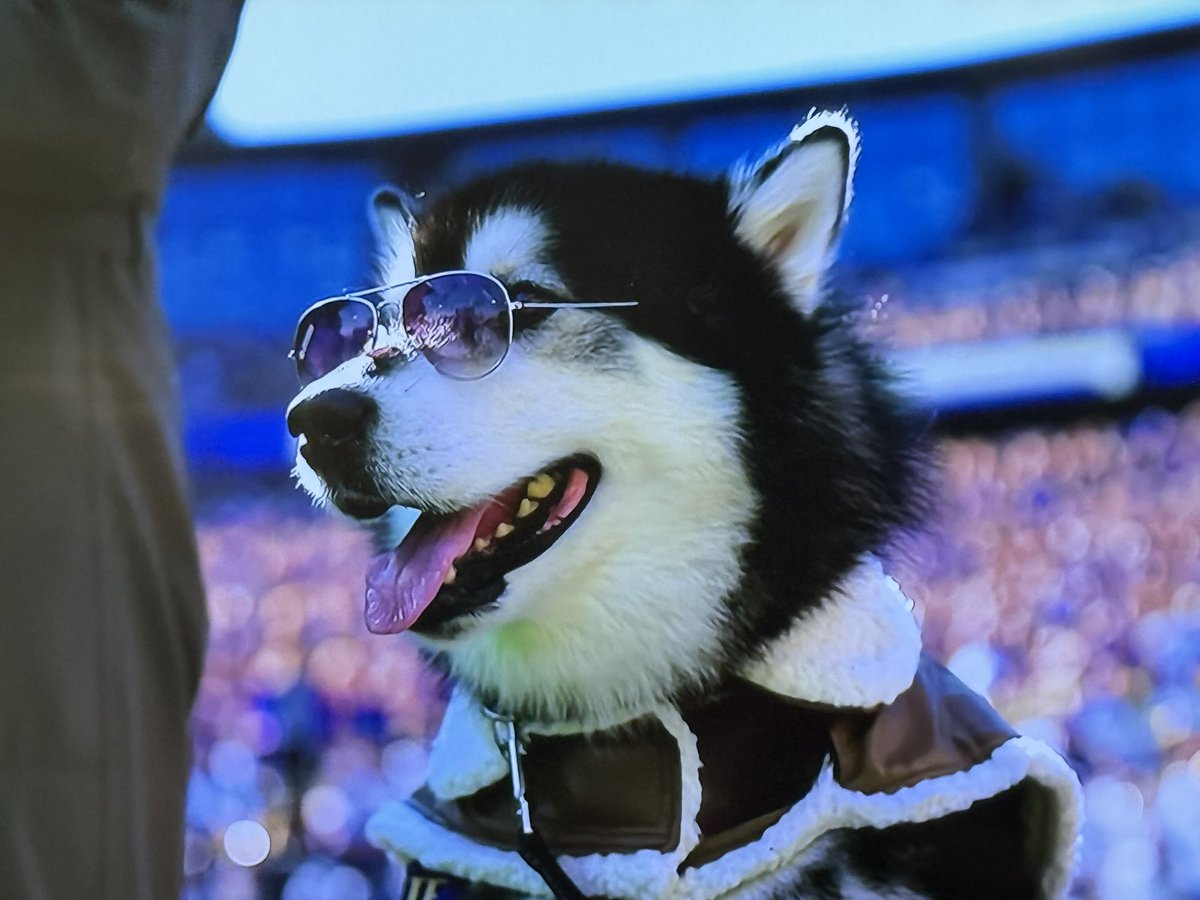 Big Cat (@barstoolbigcat) on Twitter photo 