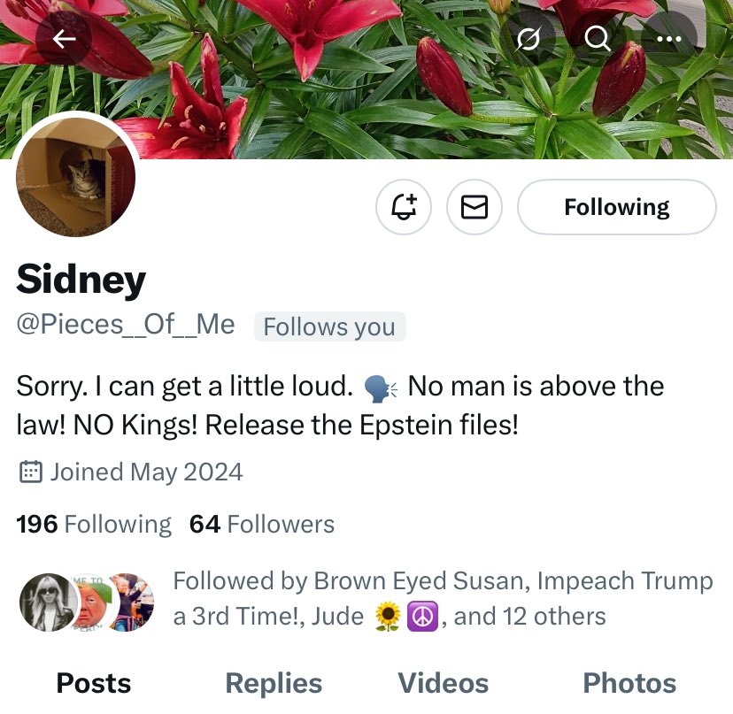 Sinfulskin tweet media