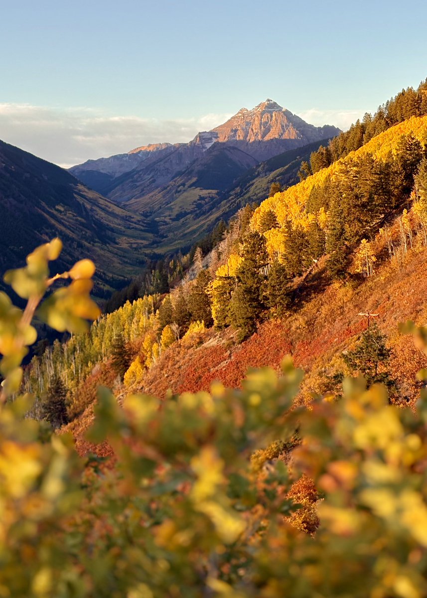 Beautiful sunrise on 14er Pyramid Peak this morning. The leaves are nearly at peak 🍁 #cowx