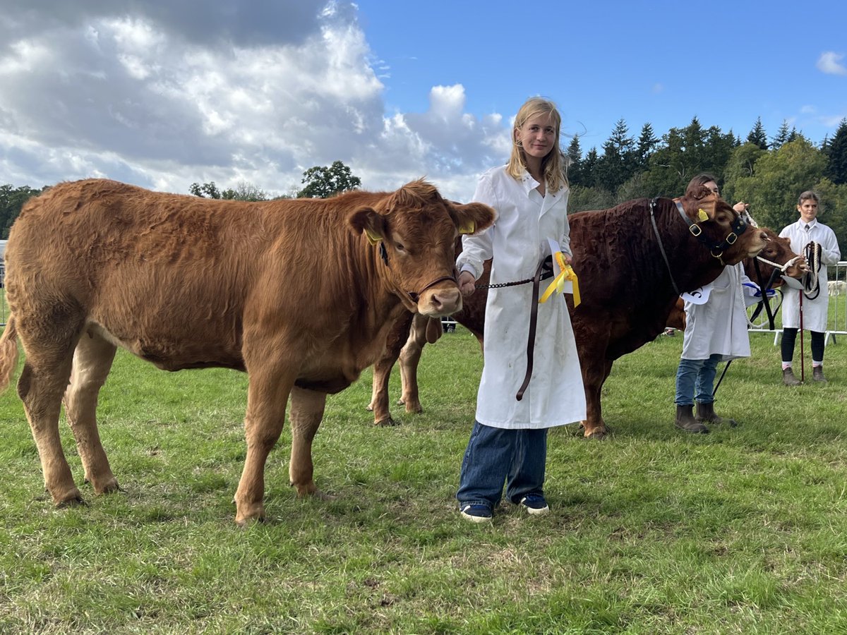 How it started and how it’s going.

17 months of love, care and a pallet of milk powder. Now wants to be a vet <a href="/LarkmeadFarm/">Larkmead Farm Vets</a> vets.
You need to get three <a href="/Pxfarms/">James S. Peck</a> !