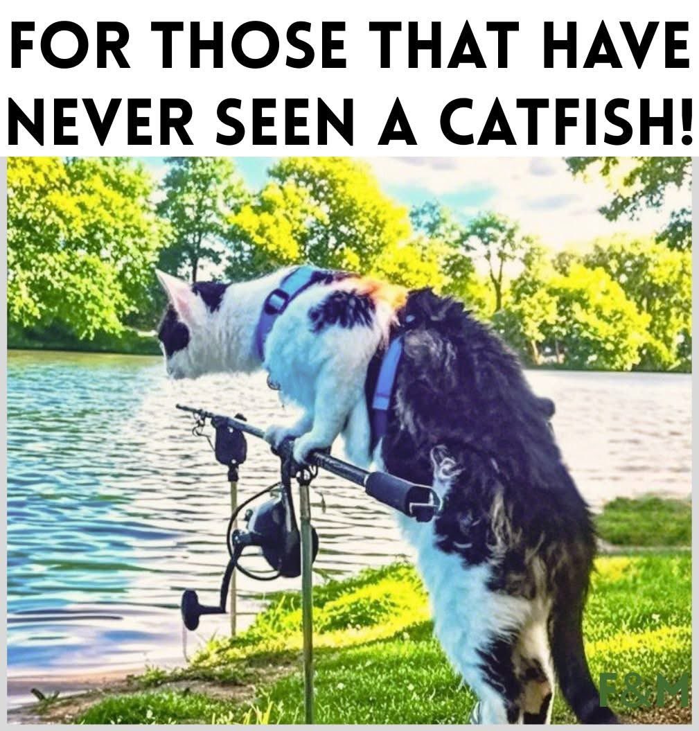 VernonSpatial's tweet image. 